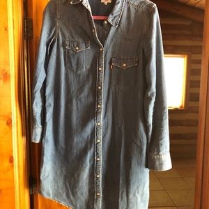 Levi knee length dress